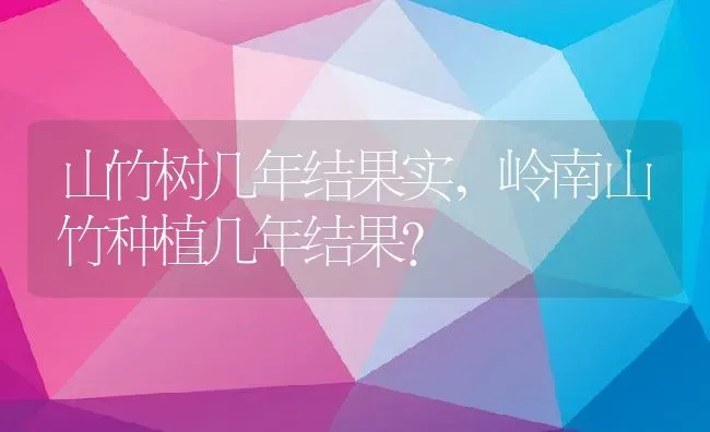 山竹树几年结果实,岭南山竹种植几年结果？ | 养殖科普