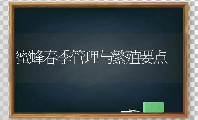 蜜蜂春季管理与繁殖要点 | 养殖技术大全