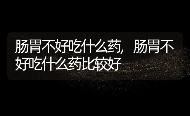 肠胃不好吃什么药,肠胃不好吃什么药比较好 | 养殖资料