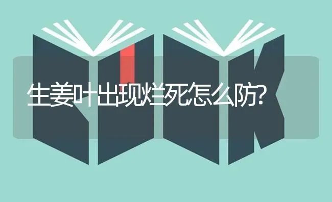 生姜叶出现烂死怎么防? | 养殖知识