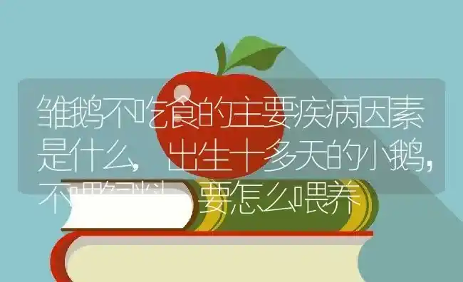 雏鹅不吃食的主要疾病因素是什么,出生十多天的小鹅，不喂饲料，要怎么喂养 | 养殖学堂