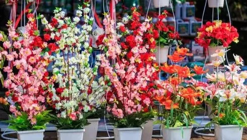 花店都有什么花,花店的花为什么都叫闪送？