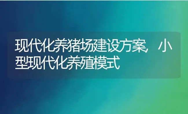 现代化养猪场建设方案,小型现代化养殖模式 | 养殖学堂