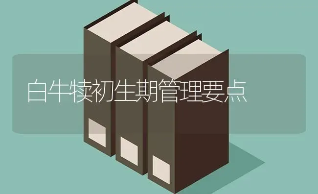 白牛犊初生期管理要点 | 养殖技术大全