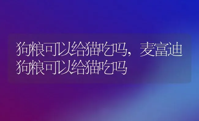 狗粮可以给猫吃吗,麦富迪狗粮可以给猫吃吗 | 养殖科普