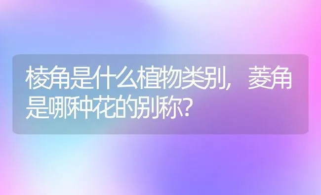 棱角是什么植物类别,菱角是哪种花的别称？ | 养殖科普