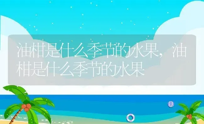 油柑是什么季节的水果,油柑是什么季节的水果 | 养殖科普