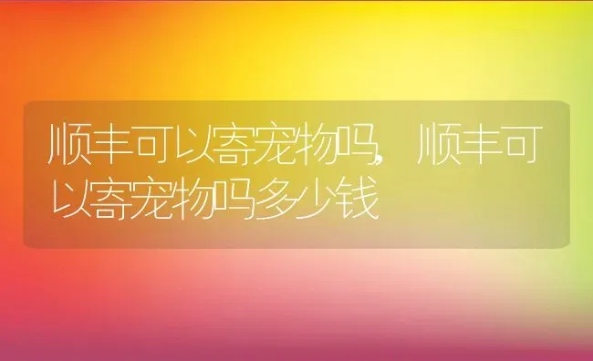 顺丰可以寄宠物吗,顺丰可以寄宠物吗多少钱 | 养殖科普