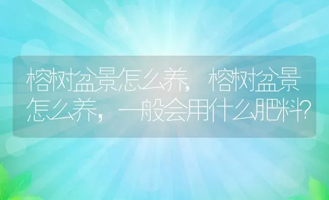 榕树盆景怎么养,榕树盆景怎么养，一般会用什么肥料？ | 养殖科普