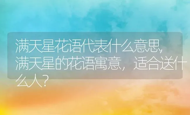 满天星花语代表什么意思,满天星的花语寓意，适合送什么人？ | 养殖科普