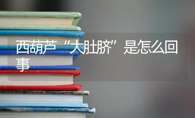 西葫芦“大肚脐”是怎么回事 | 养殖技术大全