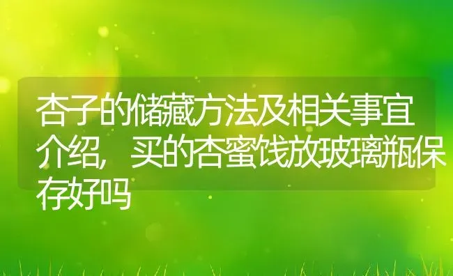 杏子的储藏方法及相关事宜介绍,买的杏蜜饯放玻璃瓶保存好吗 | 养殖学堂