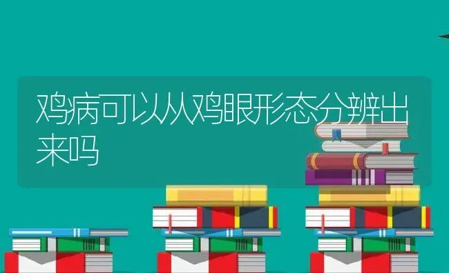 鸡病可以从鸡眼形态分辨出来吗 | 养殖学堂