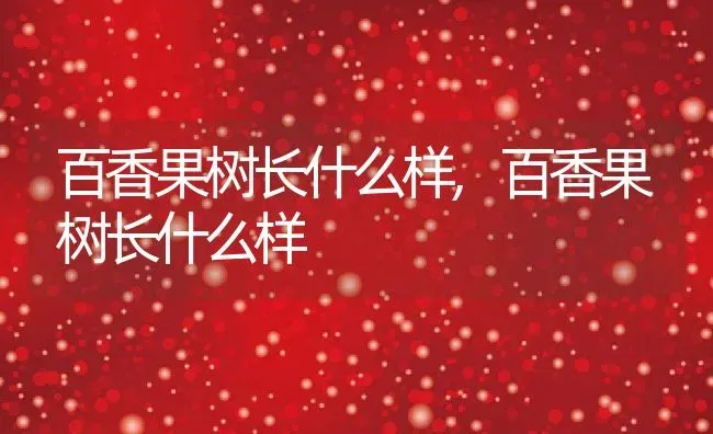 百香果树长什么样,百香果树长什么样 | 养殖科普