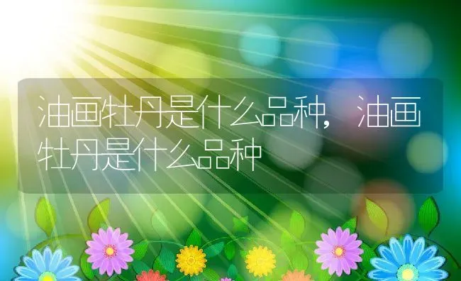 油画牡丹是什么品种,油画牡丹是什么品种 | 养殖科普