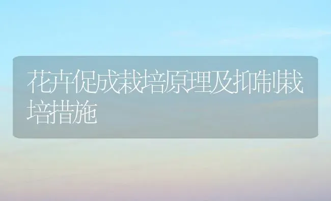 花卉促成栽培原理及抑制栽培措施 | 养殖技术大全