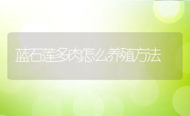 蓝石莲多肉怎么养殖方法 | 养殖学堂