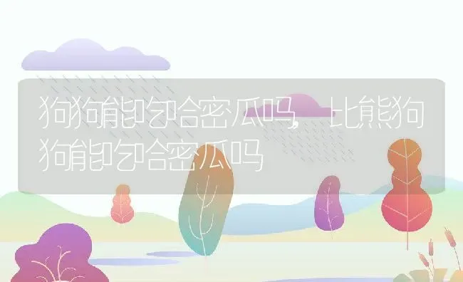狗狗能吃哈密瓜吗,比熊狗狗能吃哈密瓜吗 | 养殖科普