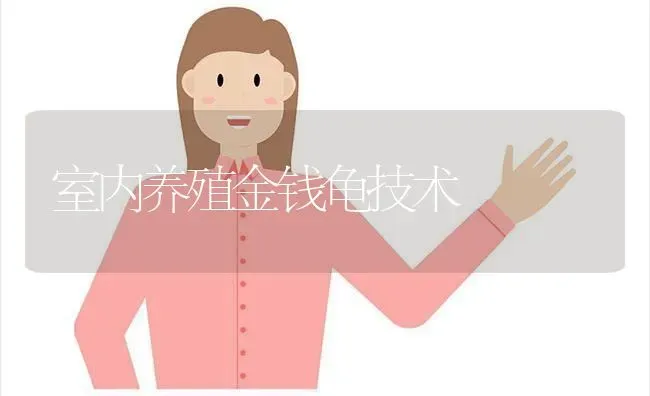 室内养殖金钱龟技术 | 养殖技术大全