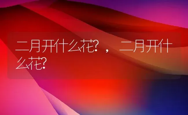 二月开什么花?,二月开什么花? | 养殖科普