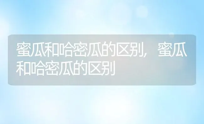 蜜瓜和哈密瓜的区别,蜜瓜和哈密瓜的区别 | 养殖学堂