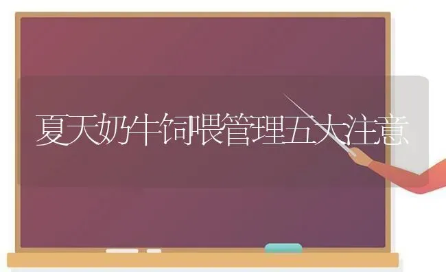 夏天奶牛饲喂管理五大注意 | 养殖知识