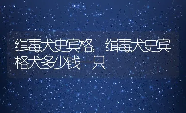 缉毒犬史宾格,缉毒犬史宾格犬多少钱一只 | 养殖科普