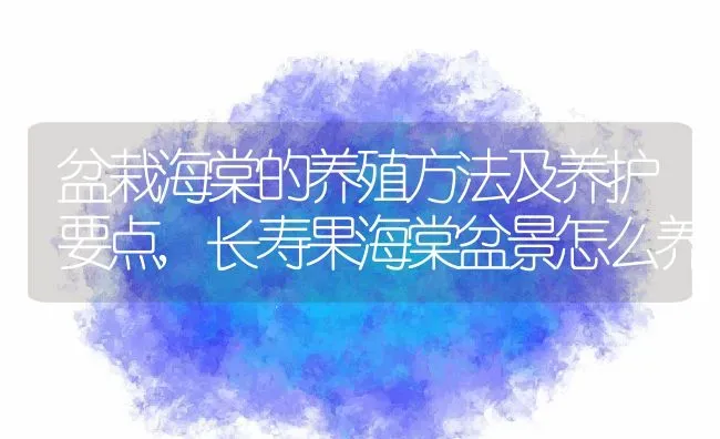 盆栽海棠的养殖方法及养护要点,长寿果海棠盆景怎么养 | 养殖学堂