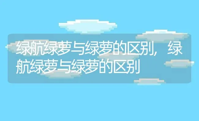 绿航绿萝与绿萝的区别,绿航绿萝与绿萝的区别 | 养殖科普