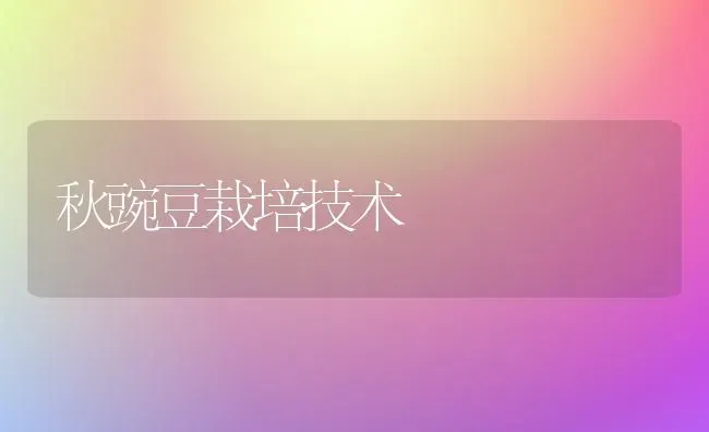 秋豌豆栽培技术 | 养殖技术大全