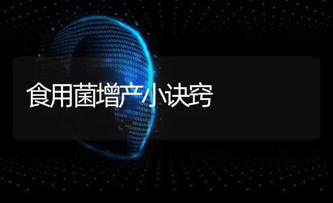 食用菌增产小诀窍 | 养殖技术大全