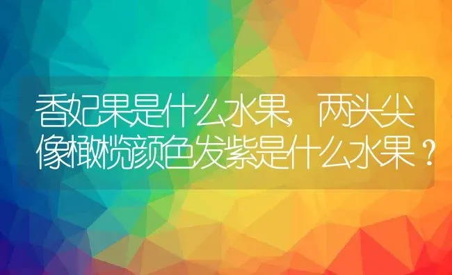 香妃果是什么水果,两头尖像橄榄颜色发紫是什么水果？ | 养殖科普