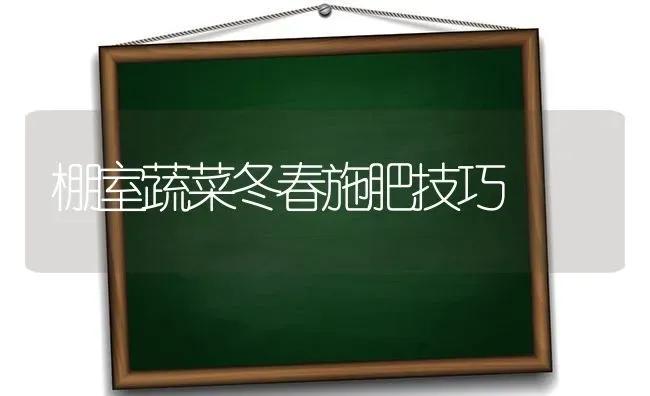 尖椒阴阳枝 管理莫“偷懒” | 养殖知识