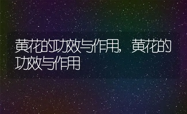 黄花的功效与作用,黄花的功效与作用 | 养殖科普