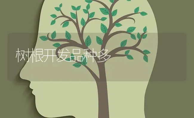 树根开发品种多 | 养殖技术大全