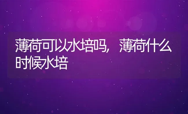 薄荷可以水培吗,薄荷什么时候水培 | 养殖学堂