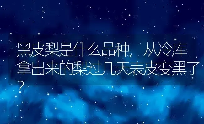 黑皮梨是什么品种,从冷库拿出来的梨过几天表皮变黑了？ | 养殖学堂