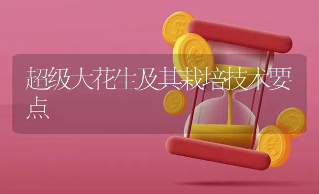 超级大花生及其栽培技术要点 | 养殖知识