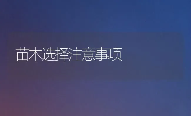苗木选择注意事项 | 养殖技术大全