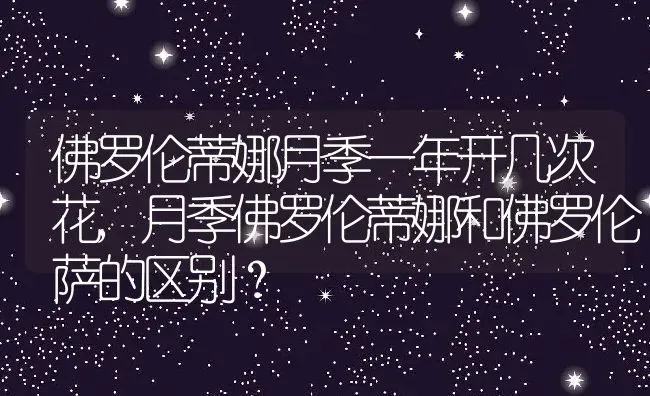 佛罗伦蒂娜月季一年开几次花,月季佛罗伦蒂娜和佛罗伦萨的区别？ | 养殖科普