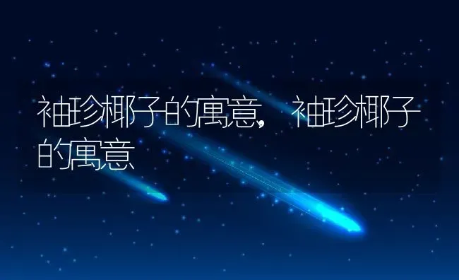 袖珍椰子的寓意,袖珍椰子的寓意 | 养殖科普