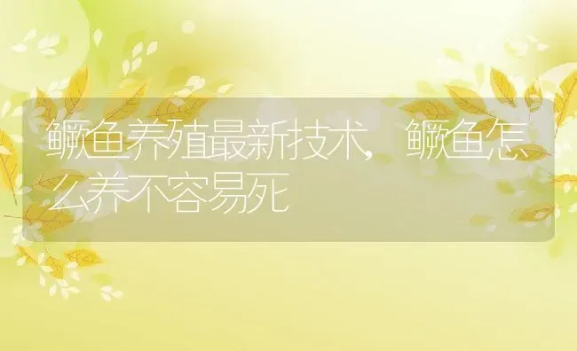 鳜鱼养殖最新技术,鳜鱼怎么养不容易死 | 养殖学堂