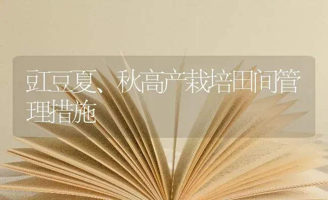 豇豆夏、秋高产栽培田间管理措施 | 养殖知识