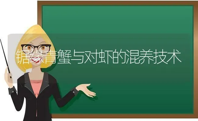 锯缘青蟹与对虾的混养技术 | 养殖技术大全