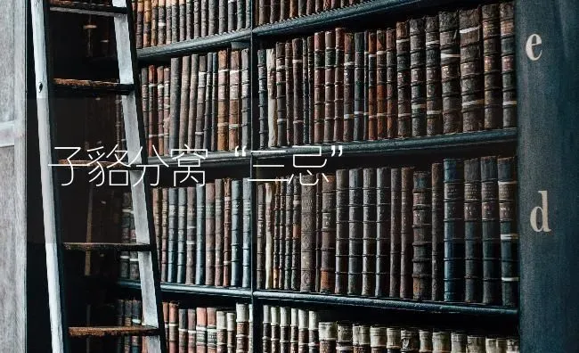 子貉分窝“三忌” | 养殖知识