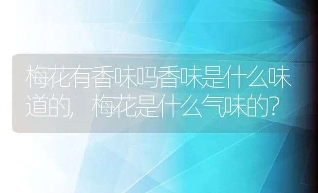 梅花有香味吗香味是什么味道的,梅花是什么气味的？ | 养殖科普