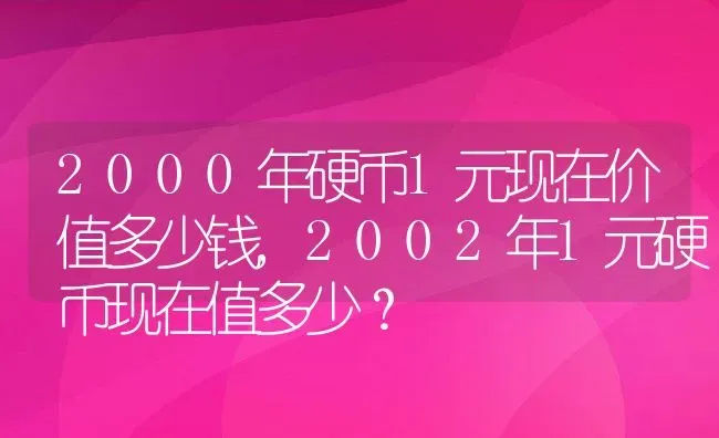 2000年硬币1元现在价值多少钱,2002年1元硬币现在值多少？ | 养殖科普