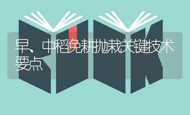 早、中稻免耕抛栽关键技术要点 | 养殖技术大全