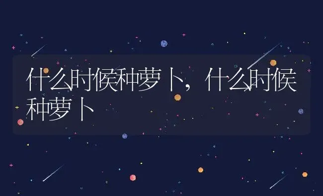 什么时候种萝卜,什么时候种萝卜 | 养殖学堂