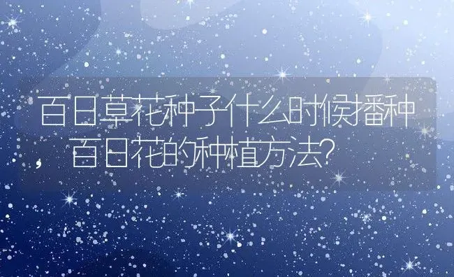 百日草花种子什么时候播种,百日花的种植方法？ | 养殖学堂